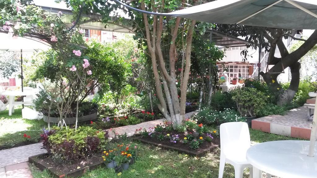 Hostel El Parque *