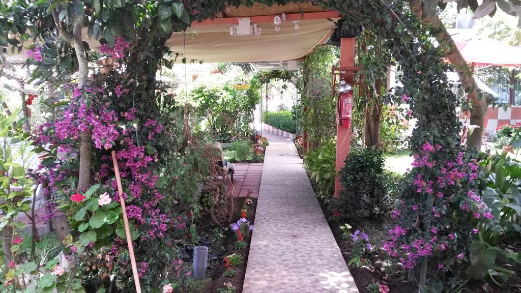 El Parque * Tababela